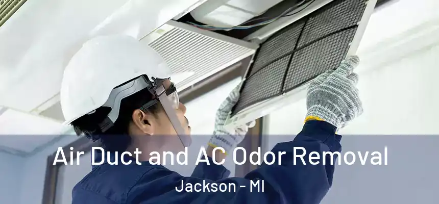 Air Duct and AC Odor Removal Jackson - MI