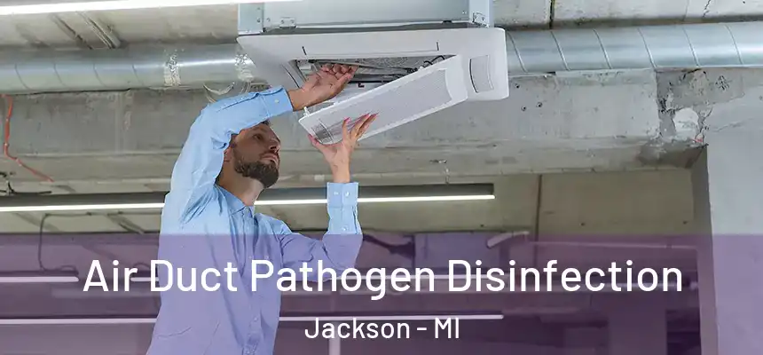  Air Duct Pathogen Disinfection Jackson - MI