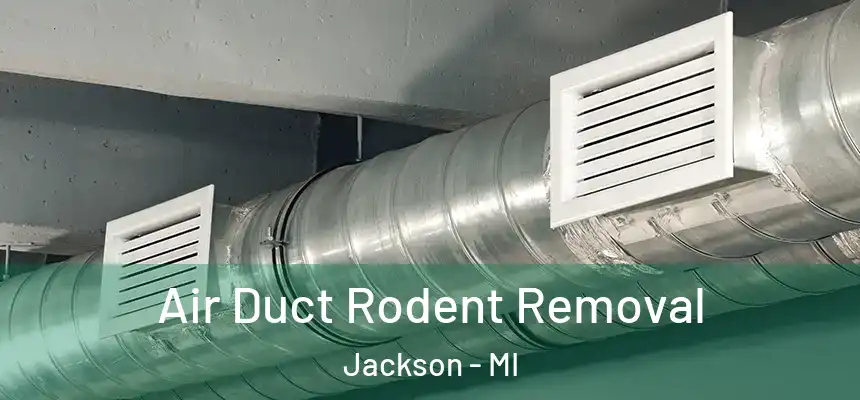 Air Duct Rodent Removal Jackson - MI