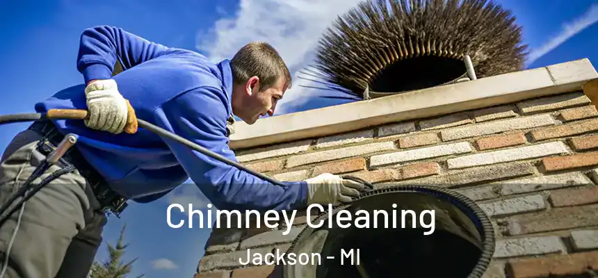 Chimney Cleaning Jackson - MI