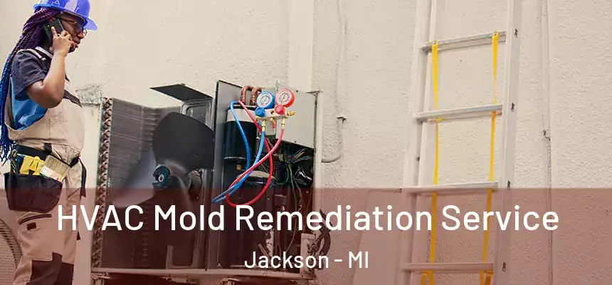 HVAC Mold Remediation Service Jackson - MI