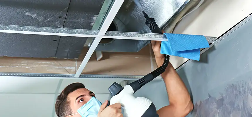 Our Air Duct Rodent Removal Services in Jackson, MI