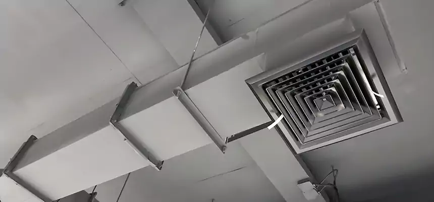 Our Rodent Droppings In Vents Services in Jackson, MI