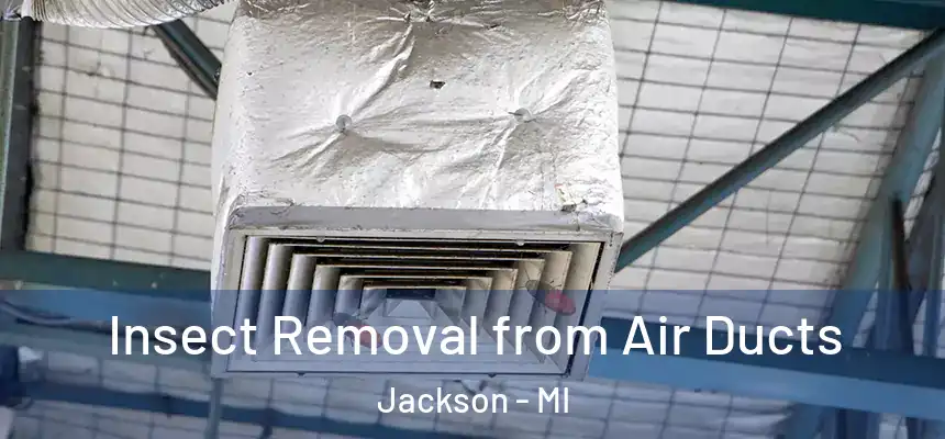  Insect Removal from Air Ducts Jackson - MI