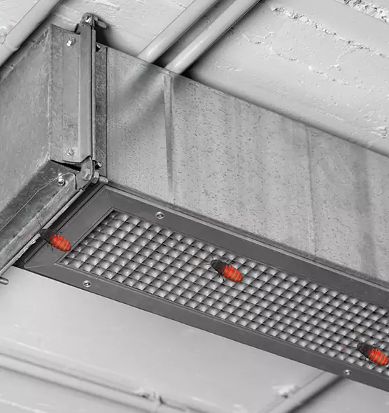 About Air Duct Cockroach Removal in Jackson, MI