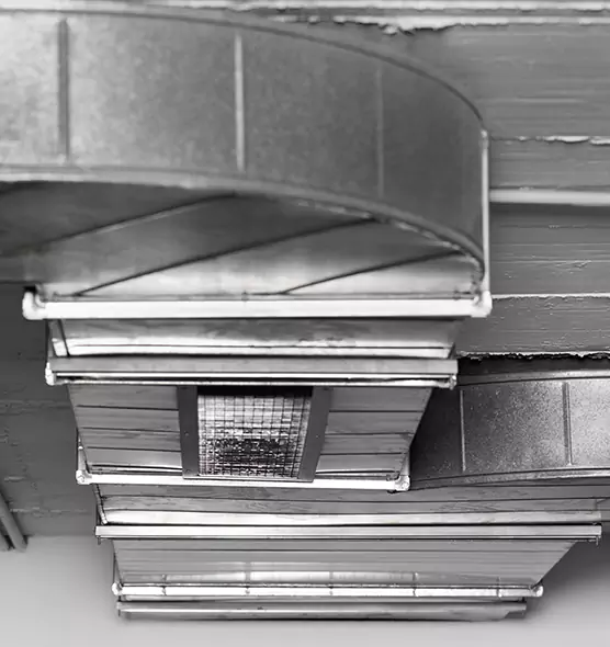 Professional Air Duct Pet Hair Removal in Jackson, MI