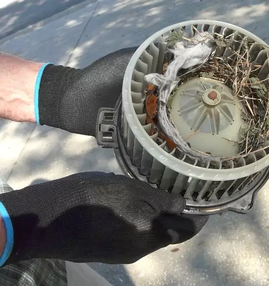 About Air Duct Rat Removal in Jackson, MI