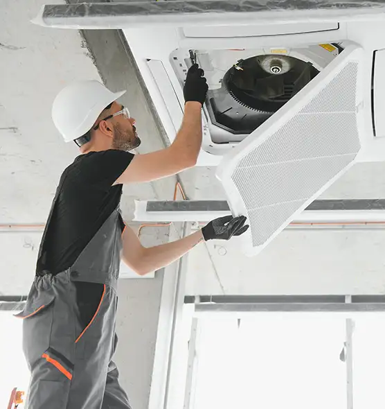 About Air Duct Rodent Removal in Jackson, MI