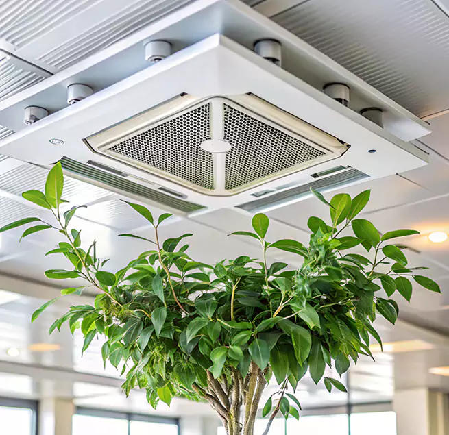 Why Homeowners & Businesses Trust Us in Jackson, MI