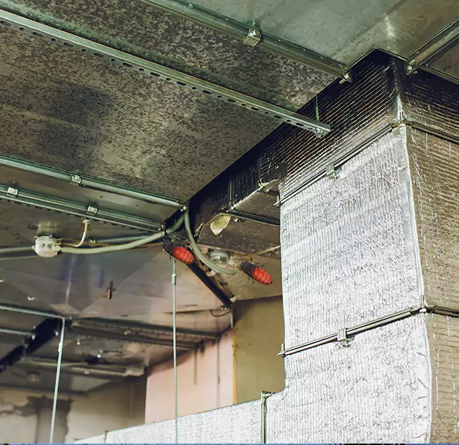 Why Homeowners & Businesses Trust Us Jackson, MI?