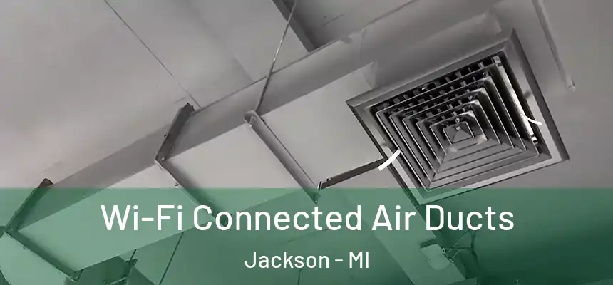  Wi-Fi Connected Air Ducts Jackson - MI